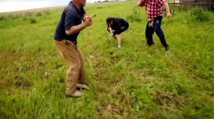 Снится мне деревня. Лучшие песни про деревню.