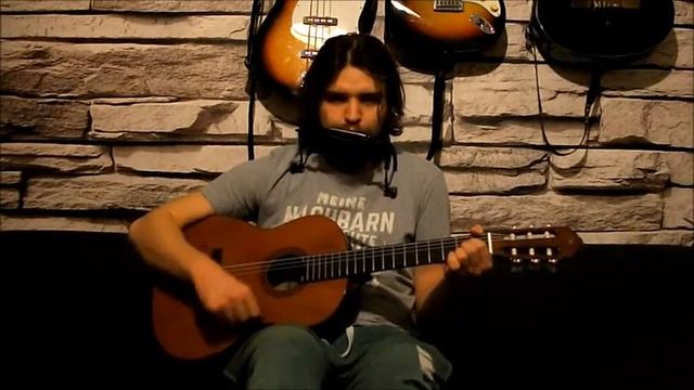 Гохиус Холлерский - Отважный капитан (Юлий Ким) смотреть онлайн