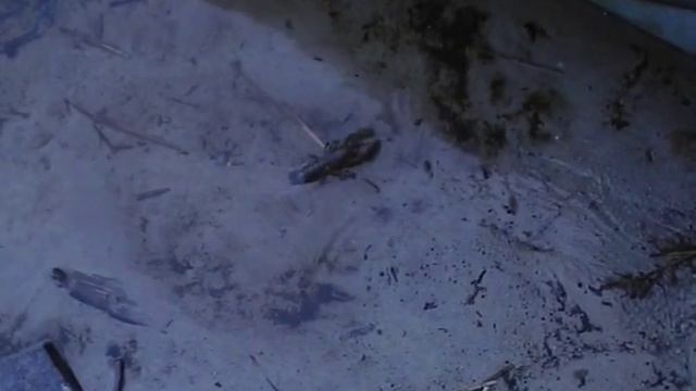 Остерозеро 2010