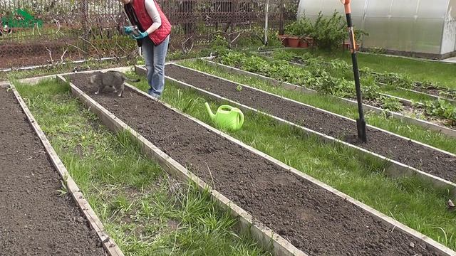 Секрет богатого урожая лука - 7 дач смотреть онлайн