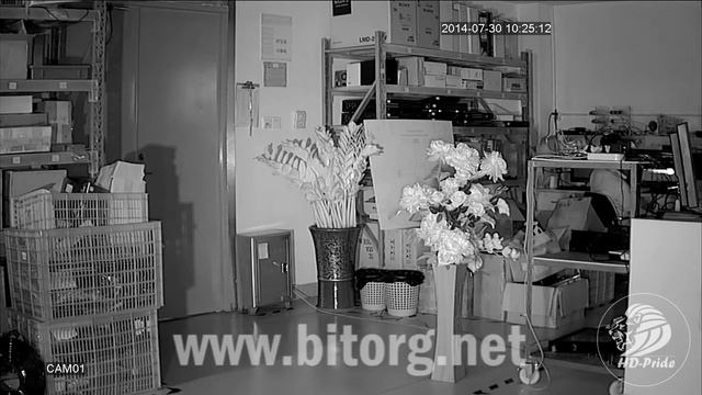 AHD-камера 1.3Мп (HD-Pride). Ночь смотреть онлайн