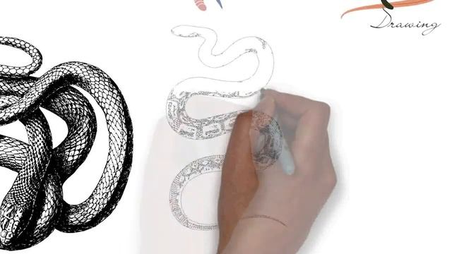 How to draw snake tattoo | Best Snake Tattoos images | Snake Tattoo Ideas That Are Perfect смотреть онлайн