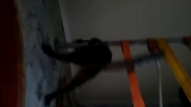 Кот упал с турника смотреть онлайн