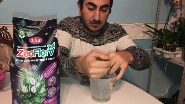 Новая Zeoflora для Выращивание растений в условиях недостатка света