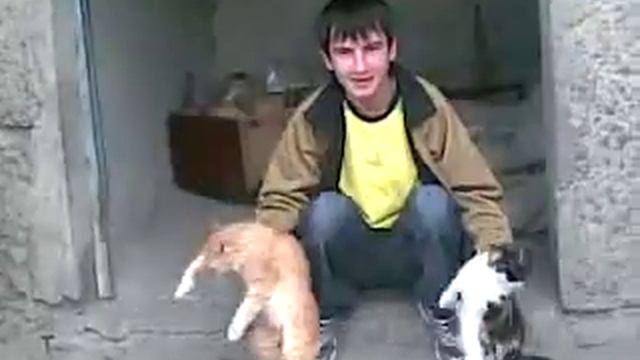 Ганста котэрэп Со мной мои коты... смотреть онлайн