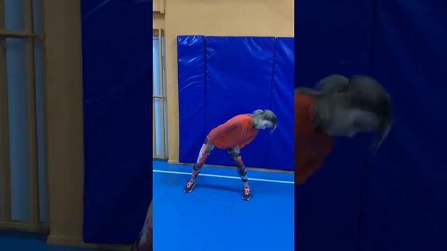 Гимнастика Цигун Комплекс Ба Дуань Цзин(без музыки) смотреть онлайн