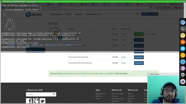 HiUbuntu Linux Mint 17 Apache Tomcat Java Servidor JSP смотреть онлайн