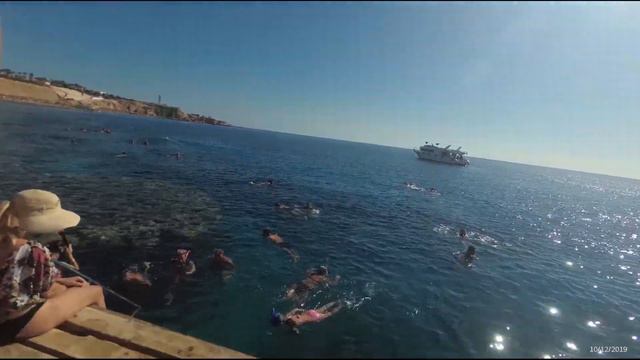 Поход на понтон FARAANA REEF RESORT 4*