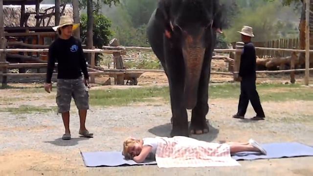 Шоу слонов река Квай Таиланд смотреть онлайн