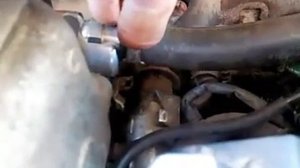 Странная реакция РХХ киа спортейдж1