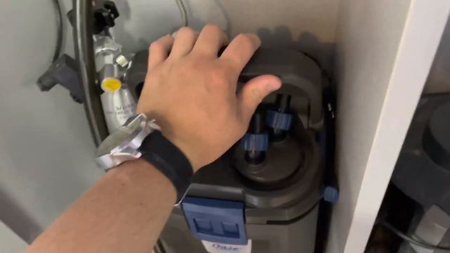 Устанавливаем OASE BIOMASTER  350 на аквариум с апельсиновыми лампрологусами(Neolamprologus Leleupi