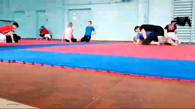 Ван Райт Семинар По Бразильскому Джиу-джитсу смотреть онлайн