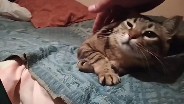 ПОЕЗД КОТОРЫЙ КУПИЛ ЯНУКОВИЧ. КАК ЖИВУТ БЕЗДОМНЫЕ В УКРАИНЕ смотреть онлайн