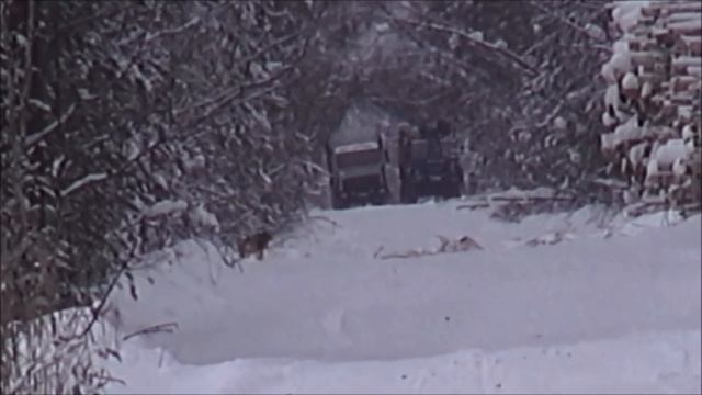 ГОН ЗАЙЦА ПО РЫХЛОМУ СНЕГУ .РГ Плакуня , Свирель вл. Шатров В.А. смотреть онлайн