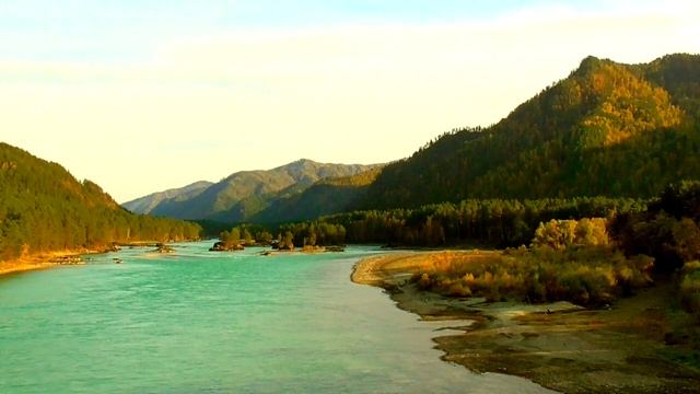 Настрой от отеков ног  Для мужчин и женщин  Академик Сытин Г.Н.