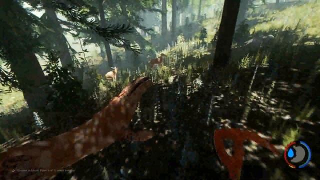 The Forest Alpha 0.48b самое быстрое прохождение! смотреть онлайн