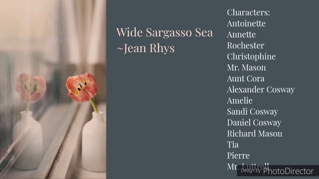 Wide Sargasso Sea by Jean Rhys (Summary & Analysis of the novel) смотреть онлайн