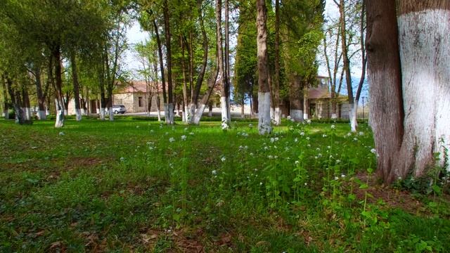 Розлив вина в Кахетии смотреть онлайн