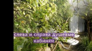 Отдых в Сочи. Поселок Головинка  пансионат «Семейный». Июнь   Август, 2014