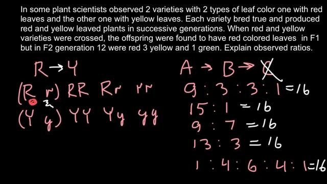 12:3:1 Phenotypic Ratio explained смотреть онлайн