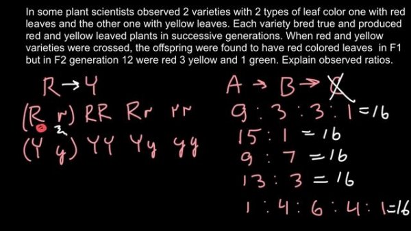 12:3:1 Phenotypic Ratio explained