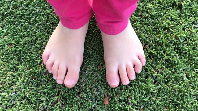 BUSTED! Dwarf Carpet of Stars Myths vs Facts - Ruschia lineolata 'Nana'. And yes, I drive on it... смотреть онлайн