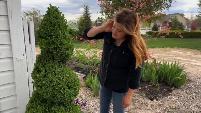 Planting the Barn & Shade Porch Pots! 💚🙌🌿 // Garden Answer смотреть онлайн