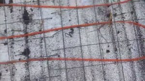 Утепление теплицы. Теплица с подогревом - Укладываем тёплый пол в для выращивания помидоров и перца