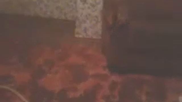 Как сделать тетраборат смотреть онлайн
