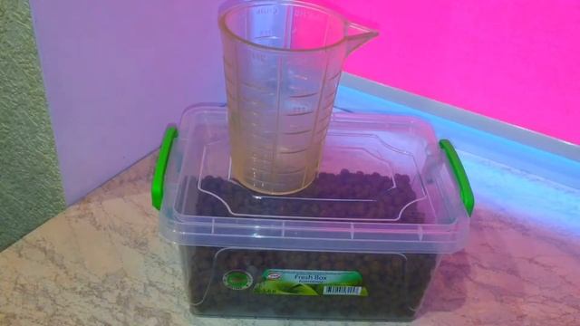 КАК ВЫБРАТЬ КОРМ? смотреть онлайн