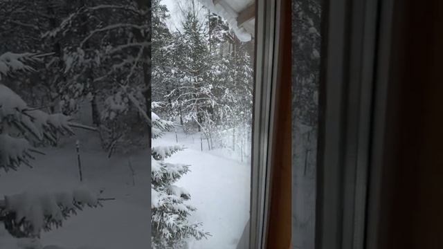 кирилловское ленинградская область смотреть онлайн