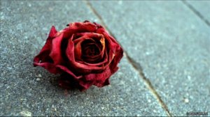 Сергей Рахманинов - Нежность