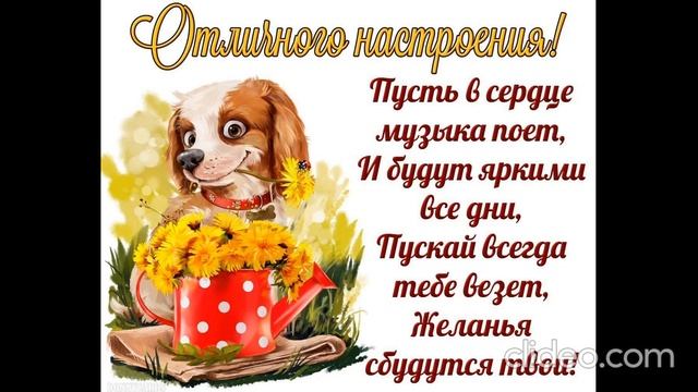 ночью 02.08 смотреть онлайн