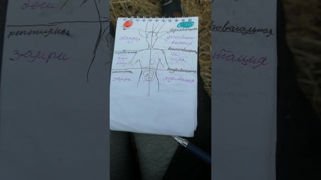 # 1 Шок, как это работает и что с этим делать. смотреть онлайн