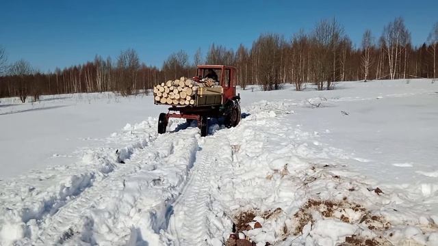 За дровами на т 16 смотреть онлайн