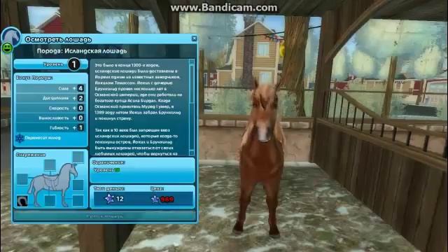 Star Stable Online -Исландская лошадь