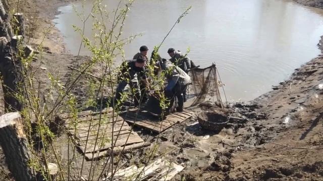 Зарыбление, пополняем запасы смотреть онлайн