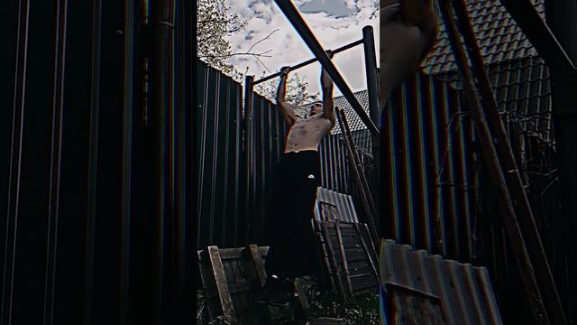 "Пампинг бицепса с пушистым другом" #спорт #тренировка #workout #подтягивания #фитнес #ЗОЖ смотреть онлайн