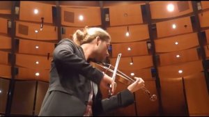 Дэвид Гарретт, Вивальди - Зима