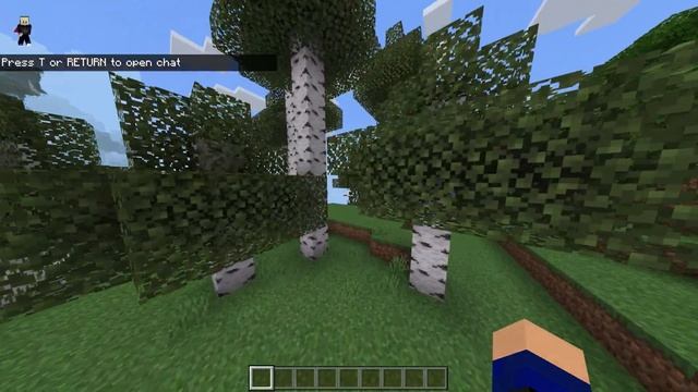 How to get ANY emote in MINECRAFT for FREE! (1.19.10-1.19.20) смотреть онлайн