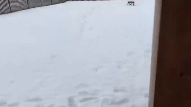 Строительная Рубрика