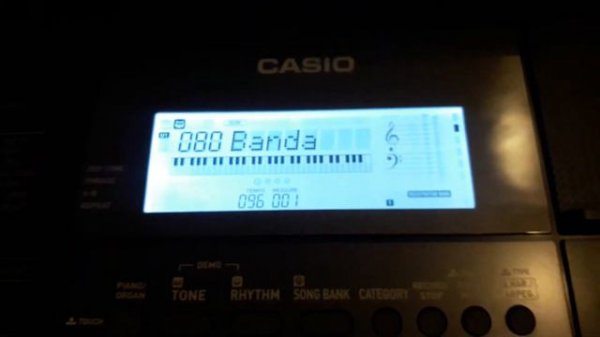CASIO - CT X800.