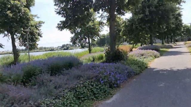 Summer bike trip around ALMERE in the Netherlands смотреть онлайн