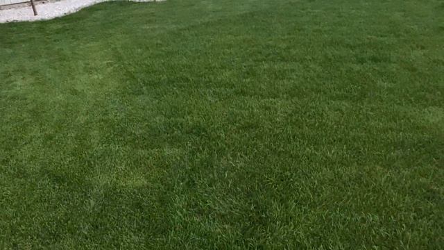 Husqvarna LC140p 2021 обзор газонокосилки смотреть онлайн