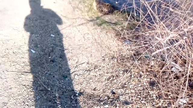 Свинство на Иртыше. г.Аксу(Ермак) Павлодарская область смотреть онлайн