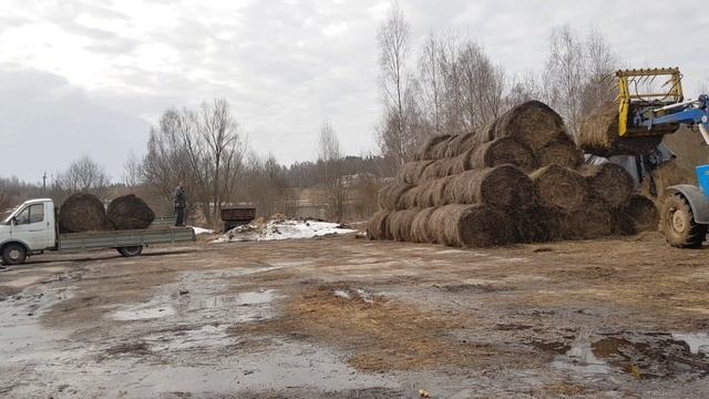 Сняли двигатель МТЗ-80.1 готовим культиватор. Продажа сена/силоса кукурузы. Опилки/навоз