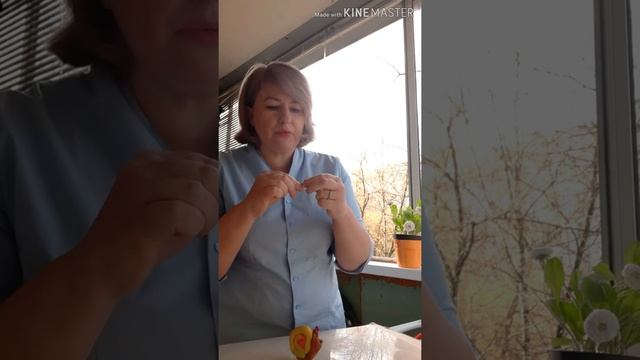 Насекомые и их знакомые. 2 часть??? смотреть онлайн