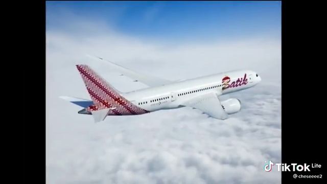 An airplane that has never crashed in Indonesia :v смотреть онлайн