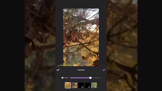 Як редагувати відео в InShot смотреть онлайн