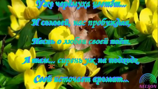 Весна Автор А.Нельсон смотреть онлайн